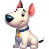 bull terrier