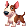 bull terrier