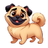 Pug 6