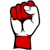 Austria Flag Fist