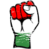 Hungary flag fist used