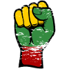 Lithuania flag fist used