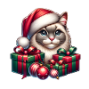 Chat Chaton Noël