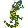 Salamander
