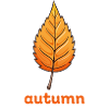 Autumn-Leaf