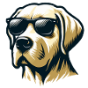 Labrador Head with Sunglasses