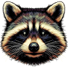 Raccoon