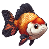 Fancy Calico Veiltail Goldfish