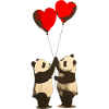 Panda Love