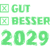 Year 2029