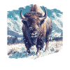 Bisons Bison