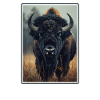 Bisons Bison