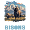 Bisons Bison