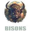 Bisons Bison