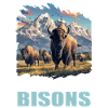Bisons Bison