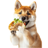 Akita