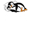 Official Penguin Slumber Shirt