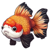 Fancy Calico Veiltail Goldfish