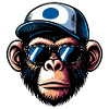 Monkey Glasses Cap