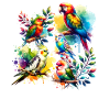 Various Birds Parrots