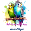 Budgie Bird Parrot