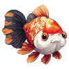Fancy Calico Veiltail Goldfish