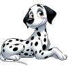 Dalmatian