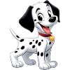 dalmatien 5