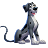 Great Dane