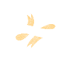 Spécial unique