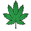 High Leaf Cannabis Leaf