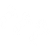 Dessine-moi un cheval blanc