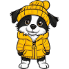 Border Collie Dog Winter