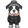 Pit Terrier Dog Winter