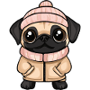 Pug Dog Winter