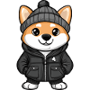 Shiba Inu Dog Winter