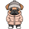 Boxer Dog Winter