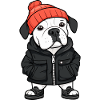 Dogo Argentino Dog Winter