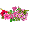 Rosa Wildblumenstrauß