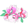 Pink Flower Bouquet