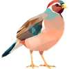 Rotkopfvogel low poly