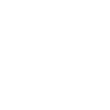 Boglen Terrier