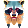 Enigmatic Blue-Green Raccoon Face