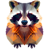 Fiery raccoon Head