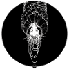 Bat2