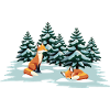 Füchse im Wald
