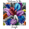 Tropical rainbow