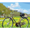 Cycle in nature