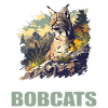 Bobcats Rotluchse Rotluchs Luchs