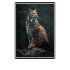 Bobcats Rotluchse Rotluchs Luchs